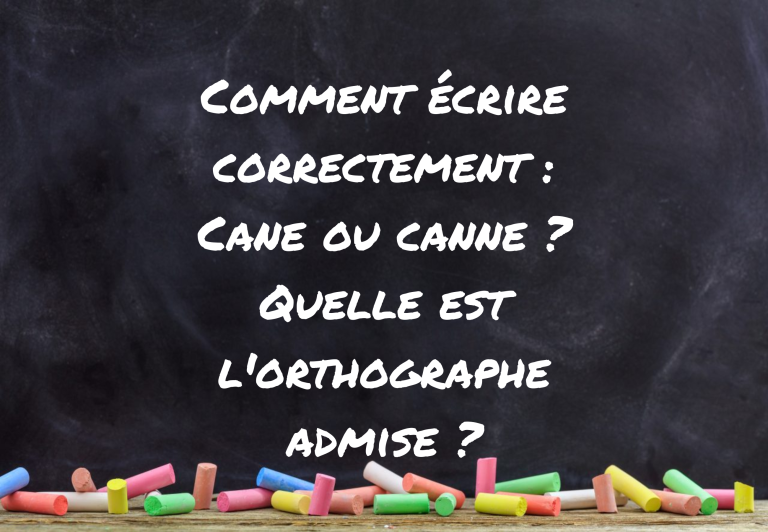 Comment écrire correctement : Cane ou canne ? Quelle est l'orthographe admise ?