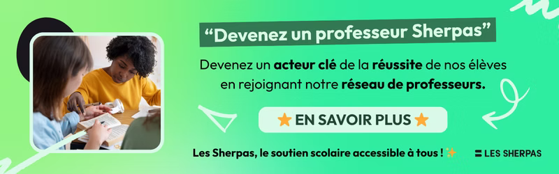 Devenir prof Les Sherpas